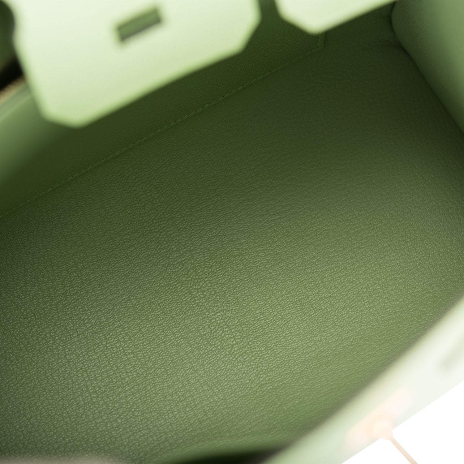 Hermes Birkin Sellier 25 Vert Criquet Epsom Gold Hardware