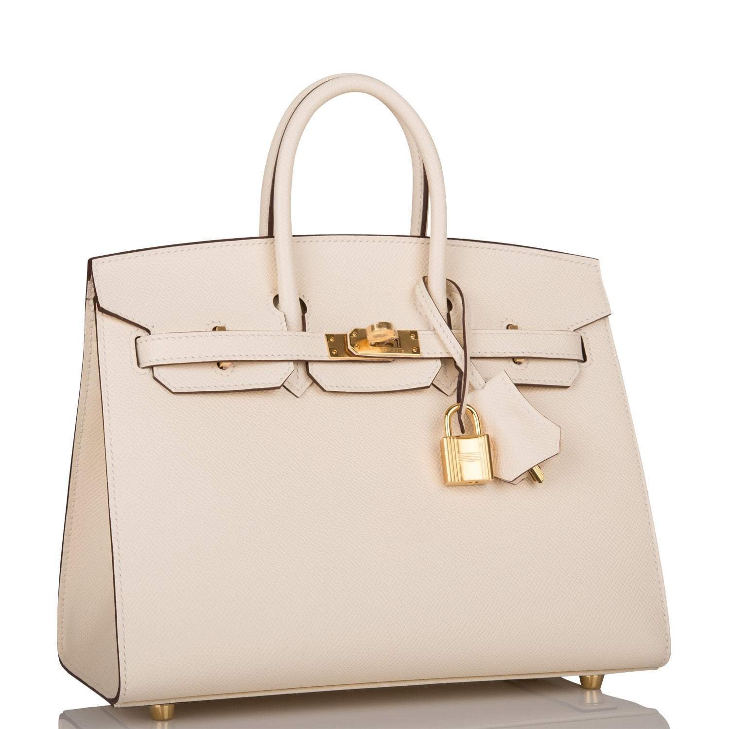 Hermes Nata Epsom Sellier Birkin 25cm Gold Hardware