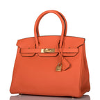 Hermes Feu Clemence Birkin 30cm Gold Hardware