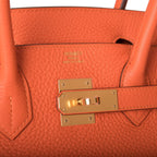 Hermes Feu Clemence Birkin 30cm Gold Hardware
