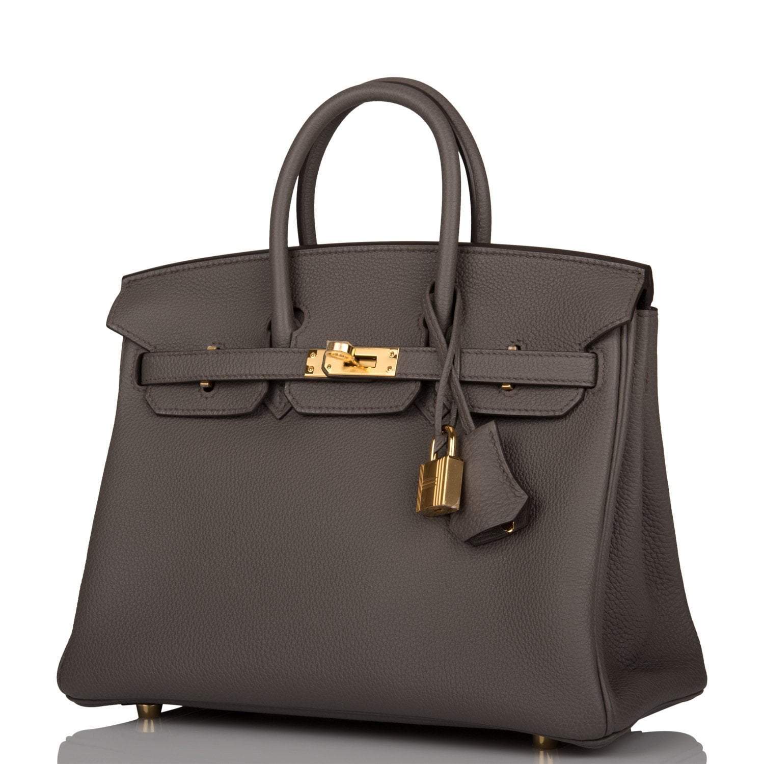 Hermes Birkin 25 Etain Togo Gold Hardware