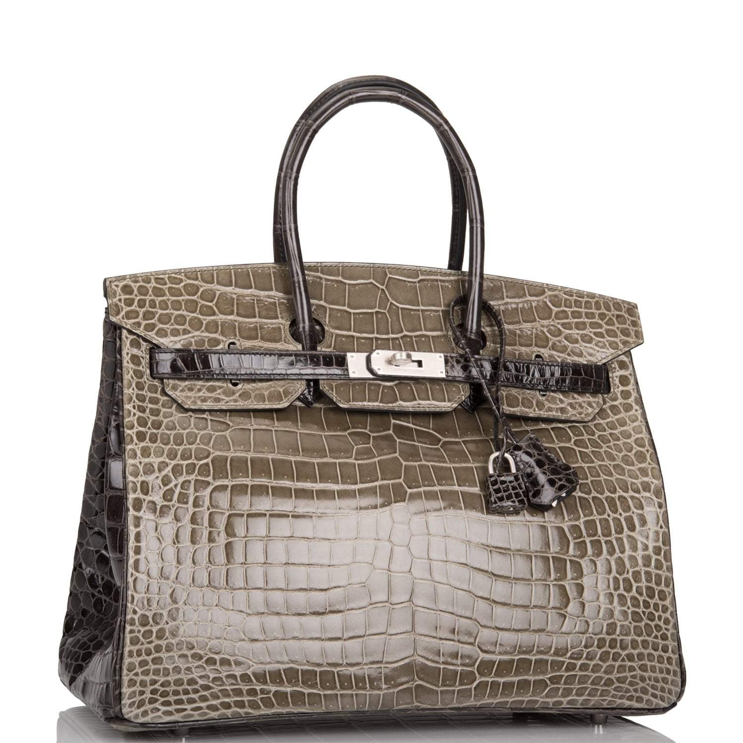 Hermes  Birkin 35cm Bi-Color Gris Tourterelle and Graphite Shiny Porosus Crocodile Brushed Palladium Hardware