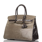 Hermes  Birkin 35cm Bi-Color Gris Tourterelle and Graphite Shiny Porosus Crocodile Brushed Palladium Hardware
